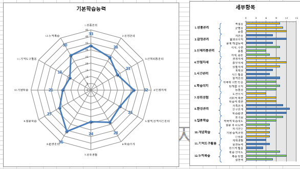 학습능력 진단 결과 예시